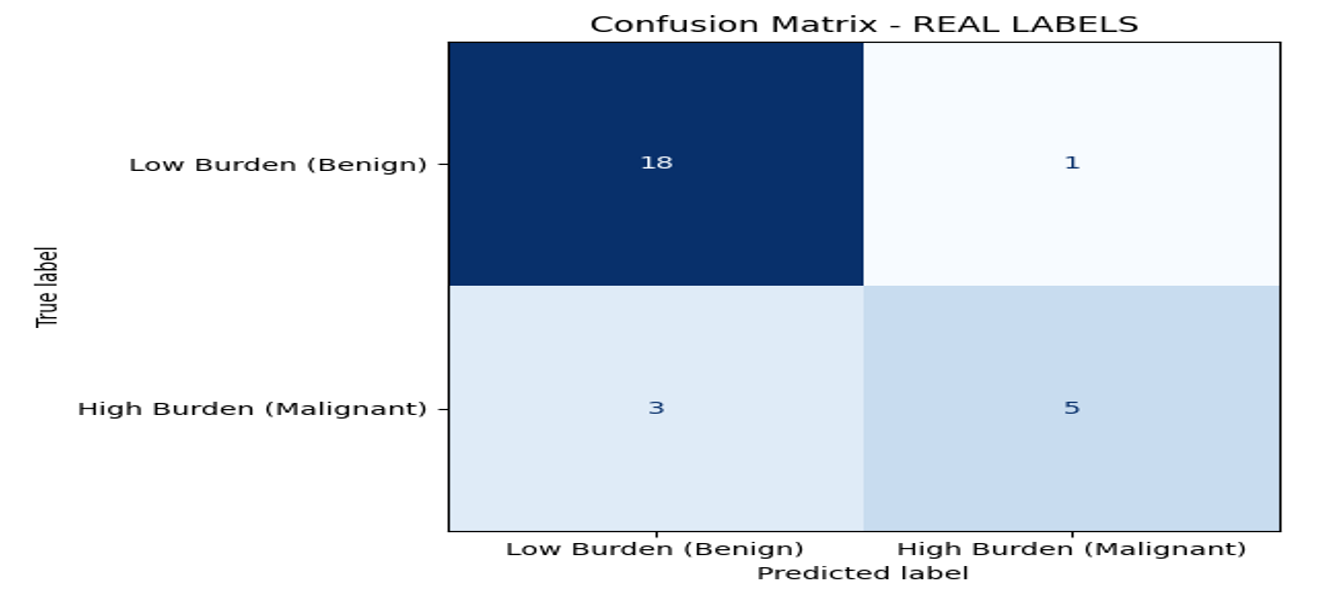 Confusion Matrix of the Hybrid Classifier on the Independent Test Cohort