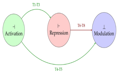 The Three Operations of a Trioid Correspond to the three Fundamental Biological Interaction Types: Activation (⊣), Repression (⊢), and Modulation (⊥). The Eight Axioms (T1)-(T8) Encode the Consistency Conditions Governing how these Operations Interact