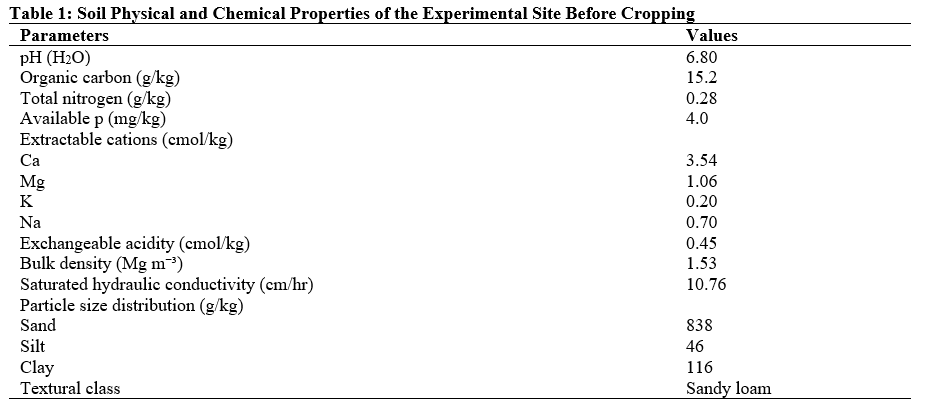 Soil Physical and Chemical Properties of the Experimental Site Before Cropping