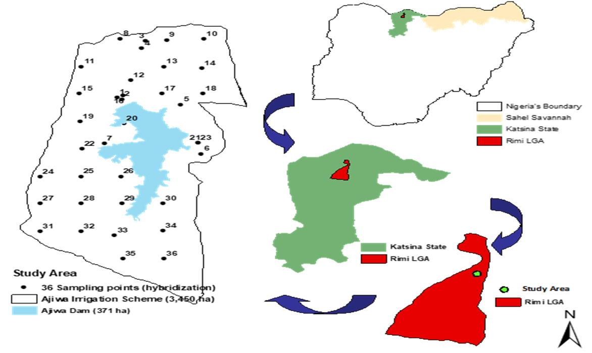 The study area in Katsina State lying in the Nigeria’s Sudan-Sahel Savannah zone; the location of Rimi LGA within the state and the location of the study area. The extent of the study area showing the 36 soil sampling points collected by both purposive (1 - 7) and systematic (8 - 36): hybrid sampling technique (Liu et al. 2024)