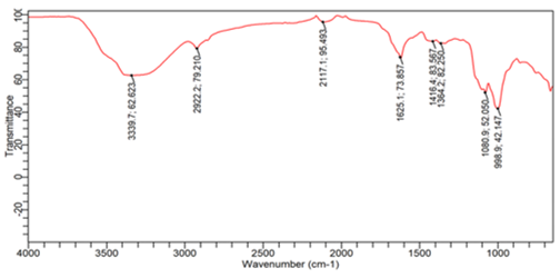 FTIR Spectra of the Synthesized Iron Nanoparticle