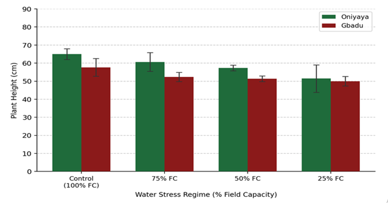 Effect of water stress on mean plant height (cm) of two varieties of Corchorus olitorius. Error bars = ± SE (n=3)