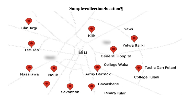 A Map showing the Description of Study Area in Biu Local Government, Borno State Nigeria