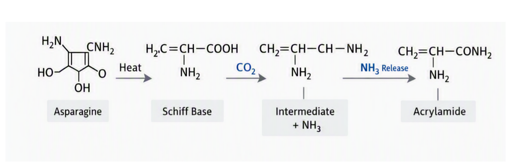 Maillard Pathway for Acrylamide formation